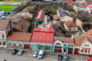 3 surse de venit într-o SINGURĂ proprietate de 950 mp în Aradul Nou