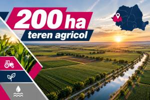 200 ha teren agricol de vanzare in Arad
