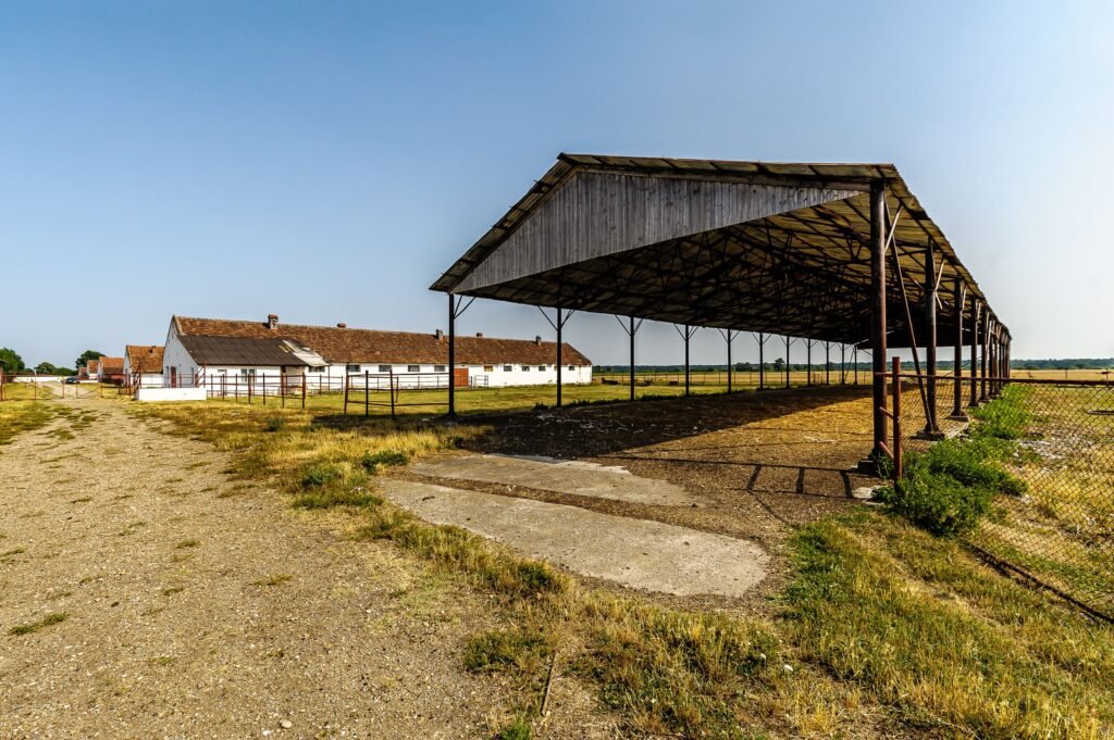De vânzare Fermă Mândruloc 2,5 ha în zona Arad 6 camere Arad 11