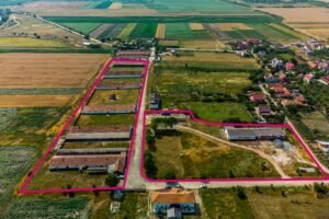 Fermă Mândruloc 2,5 ha De vânzare Fermă Mândruloc 2,5 ha în zona Arad 6 camere Arad 12