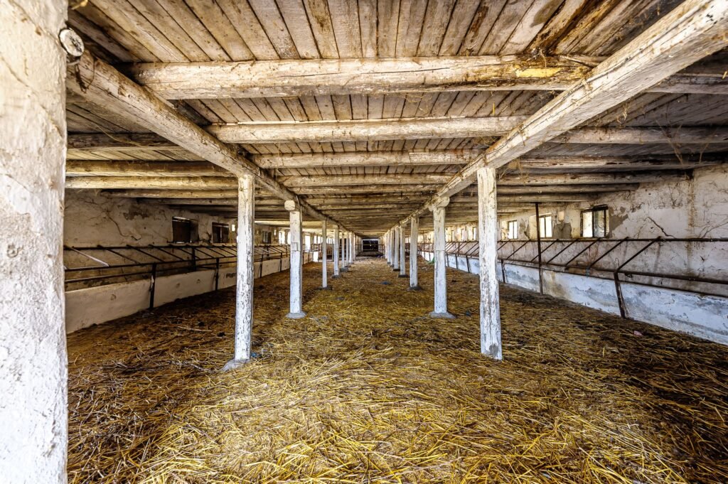 De vânzare Fermă Mândruloc 2,5 ha în zona Arad 6 camere Arad 5