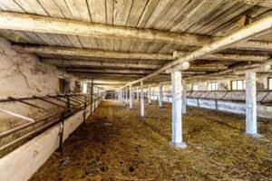De vânzare Fermă Mândruloc 2,5 ha în zona Arad 6 camere Arad 6
