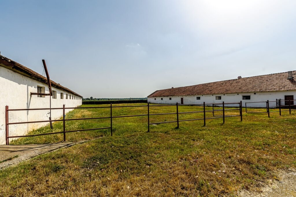 De vânzare Fermă Mândruloc 2,5 ha în zona Arad 6 camere Arad 8