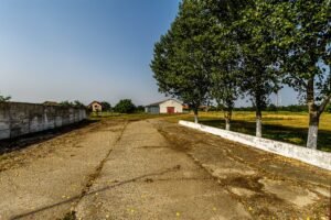 De vânzare Fermă Mândruloc 2,5 ha în zona Arad 6 camere Arad 9