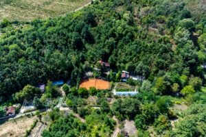 PROPRIETATE VÂNDUTĂ Casă conac cu 15.000 mp deal împădurit la Barațca, De vânzare PROPRIETATE VÂNDUTĂ Casă conac cu 15.000 mp deal impădurit la Barațca, în zona Arad 6 camere 4 dormitoare Arad 14