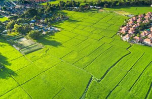 Teren Intravilan sau Teren Extravilan – Oportunitati de investitii