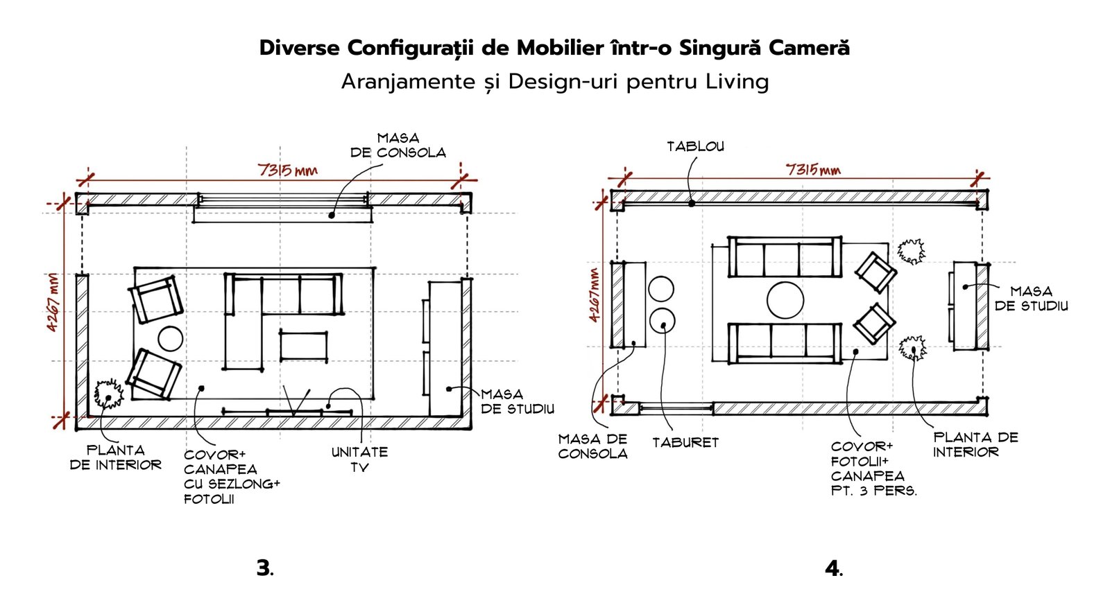 Diverse Configurații de Mobilier într-o Singură Cameră 2