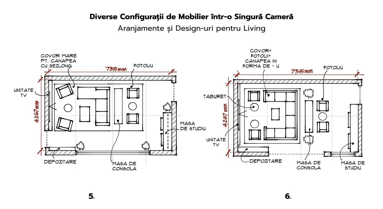 Diverse Configurații de Mobilier într-o Singură Cameră 3
