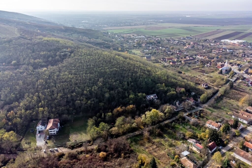 De vânzare Casă de vacanță cu teren generos în localitatea Miniș în zona Arad 12 camere 5 dormitoare Arad 11