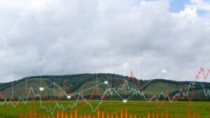 Top 10 tari europene pentru achizitia de terenuri ieftine