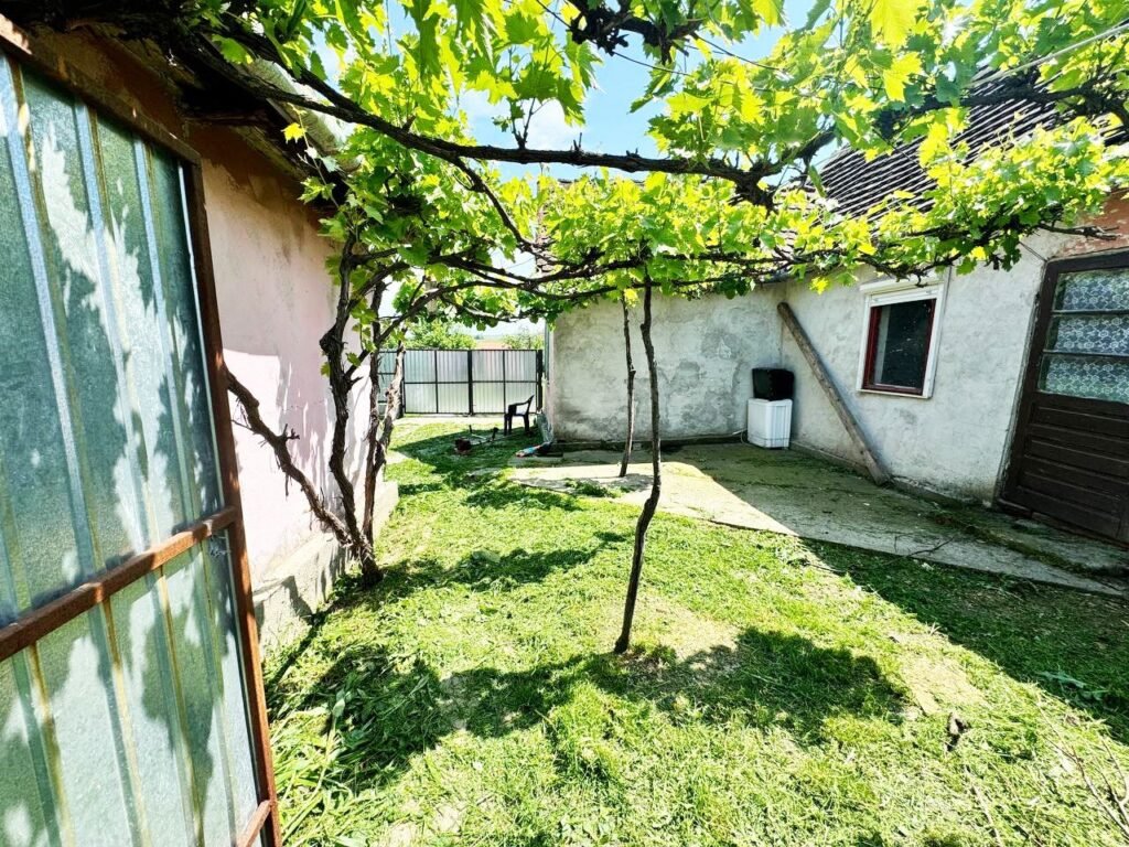 De vânzare Casă modestă în Arăneag, zona Căsoaia. în zona Arad 3 camere 2 dormitoare Arad 6