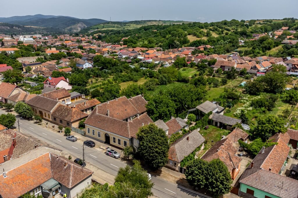 De vânzare Pret redus Casă boierească cu teren generos in Lipova comision 0 în zona Central 2 camere 2 dormitoare Arad 7