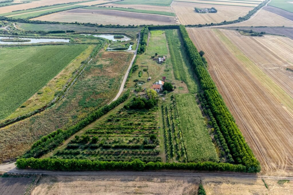 De vânzare De vânzare teren 7.6 Ha în Pecica în zona Exterior Sud Arad 2