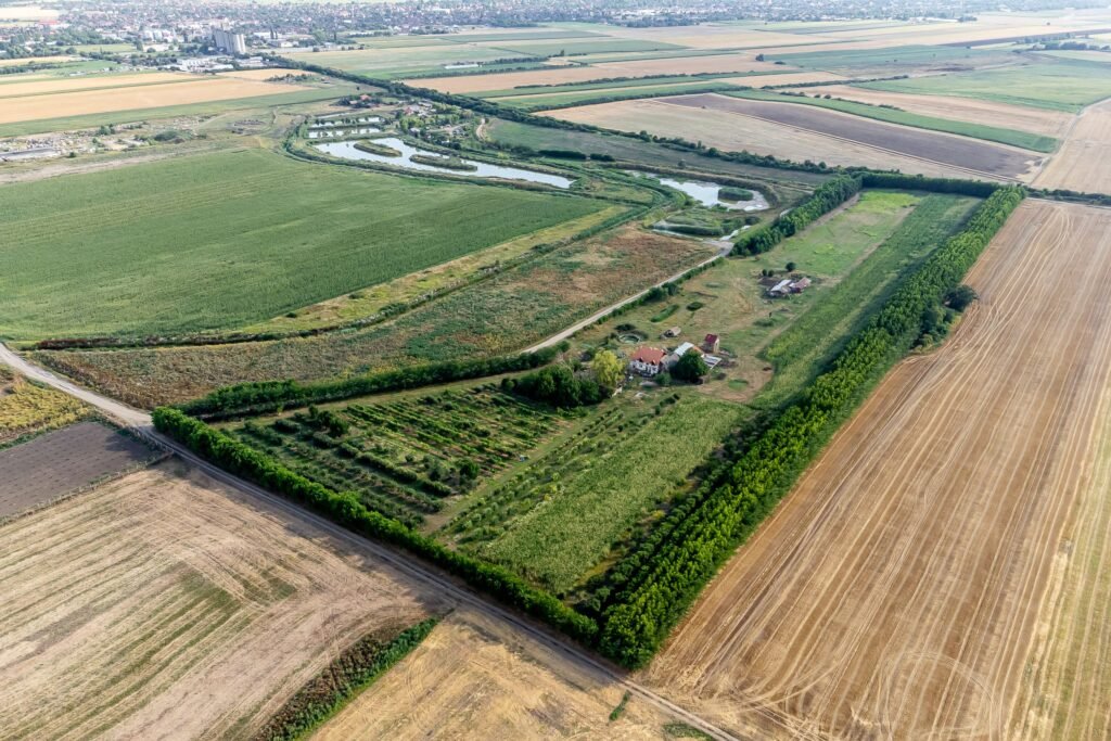 De vânzare De vânzare teren 7.6 Ha în Pecica în zona Exterior Sud Arad 3