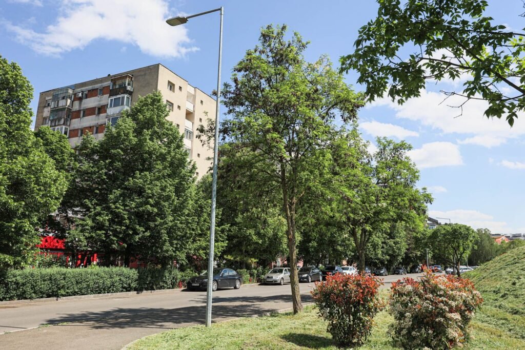 De vânzare Apartament 2 Camere – Micalaca, Zona 300, Malul Mureșului în zona Malul Muresului 2 camere 1 dormitor Arad 6