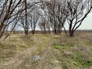De vânzare Pret redus Teren generos cu grajd nou in Varsand în zona Arad Arad 7