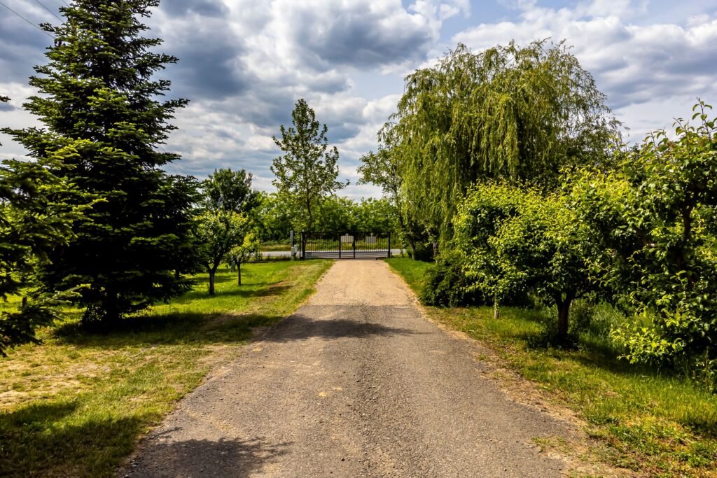 De vânzare Domeniul Hellburg– 16,27 ha vie + 1,4 ha intravilan în zona Arad Arad 2