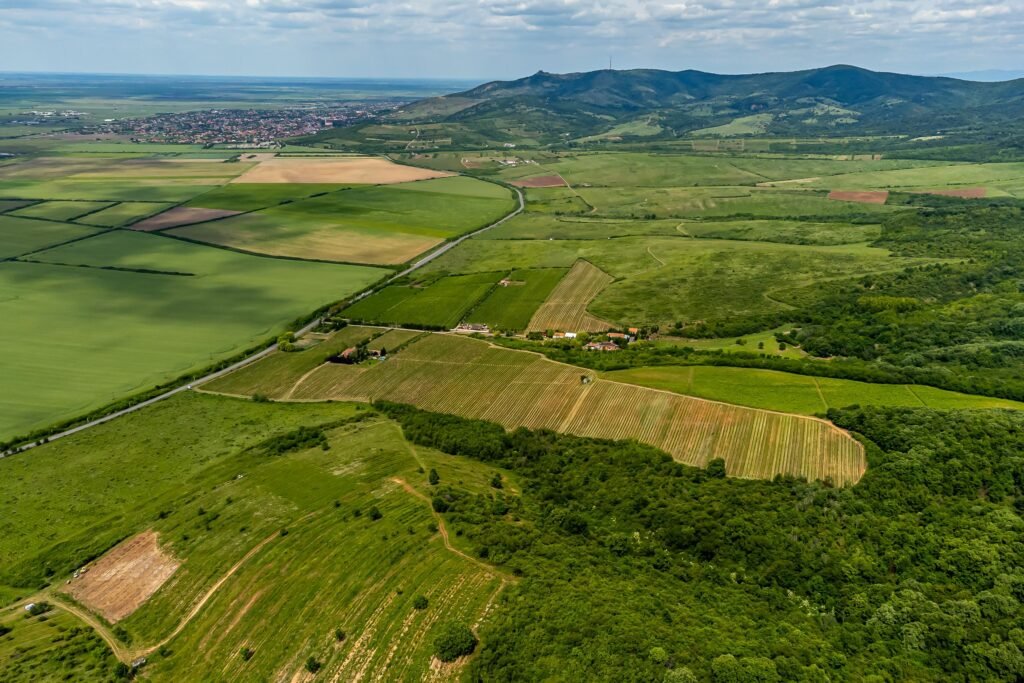 De vânzare Domeniul Hellburg– 16,27 ha vie + 1,4 ha intravilan în zona Arad Arad 5