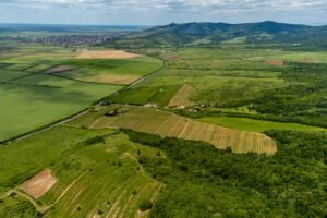 De vânzare Domeniul Hellburg– 16,27 ha vie + 1,4 ha intravilan în zona Arad Arad 5