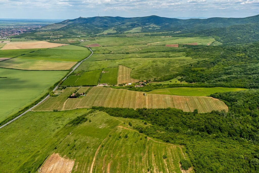 De vânzare Domeniul Hellburg– 16,27 ha vie + 1,4 ha intravilan în zona Arad Arad 6