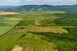 De vânzare Domeniul Hellburg– 16,27 ha vie + 1,4 ha intravilan în zona Arad Arad 6