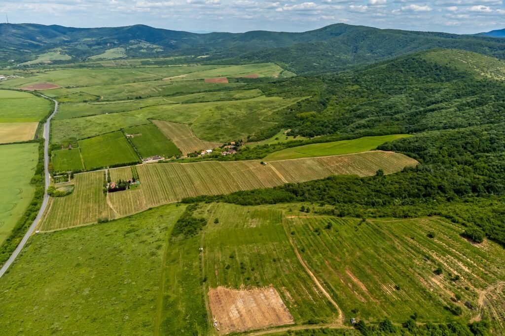 De vânzare Domeniul Hellburg– 16,27 ha vie + 1,4 ha intravilan în zona Arad Arad 7