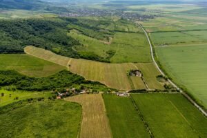 De vânzare Domeniul Hellburg– 16,27 ha vie + 1,4 ha intravilan în zona Arad Arad 8
