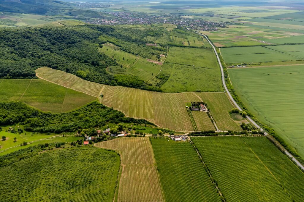 De vânzare Domeniul Hellburg– 16,27 ha vie + 1,4 ha intravilan în zona Arad Arad 8