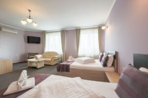 Flexibilitate într-o locație cheie, ideală pt hotel, cămin, clinică. De vânzare Flexibilitate într-o locație cheie, ideală pt hotel, cămin, clinică. în zona Micalaca 14 camere 13 dormitoare Arad 12