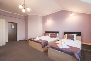 Flexibilitate într-o locație cheie, ideală pt hotel, cămin, clinică. De vânzare Flexibilitate într-o locație cheie, ideală pt hotel, cămin, clinică. în zona Micalaca 14 camere 13 dormitoare Arad 15