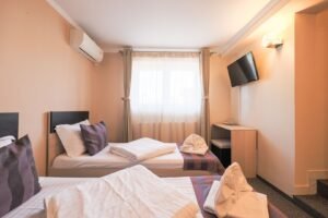 Flexibilitate într-o locație cheie, ideală pt hotel, cămin, clinică. De vânzare Flexibilitate într-o locație cheie, ideală pt hotel, cămin, clinică. în zona Micalaca 14 camere 13 dormitoare Arad 18