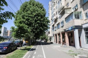 Locuință renovată cu bun gust, 2 dormitoare, etajul 1. Aurel Vlaicu De vânzare Locuință renovată cu bun gust, 2 dormitoare, etajul 1. Aurel Vlaicu în zona Aurel Vlaicu 2 camere 2 dormitoare Arad 10