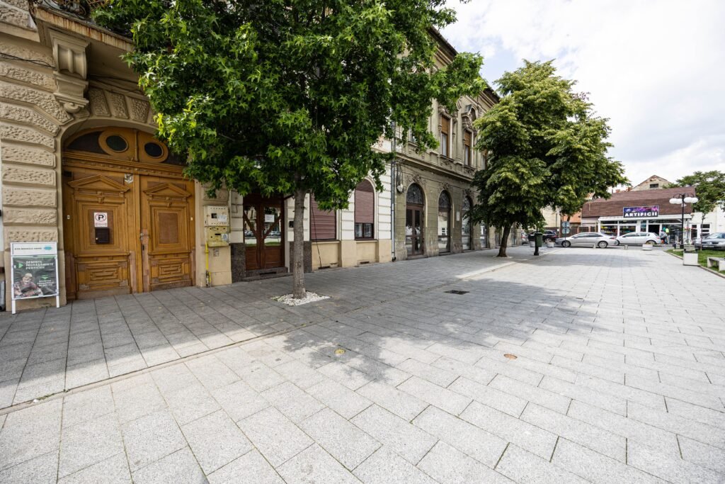 Apartament ideal pentru tineri, în Piața Catedralei, Arad. De vânzare Apartament ideal pentru tineri, în Piața Catedralei, Arad. în zona Central 2 camere 1 dormitor Arad 2