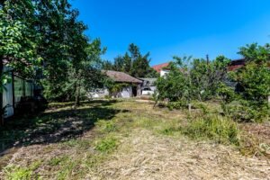 Casă individuală cu grădină și acces auto,  Aradul Nou, Str. Molidului De vânzare Casă individuală cu grădină și acces auto,  Aradul Nou, Str. Molidului în zona Aradul Nou 4 camere 2 dormitoare Arad 14
