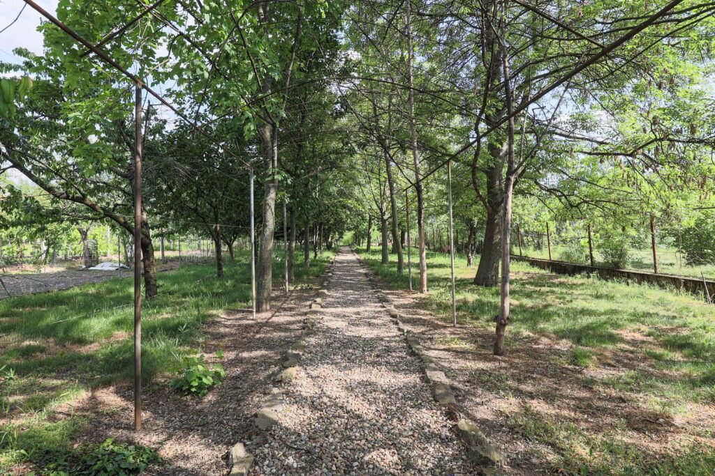 De vânzare Vilă 5 camere Grădiște | 2 corpuri | 0% comision. Preț negociabil! în zona Gradiste 5 camere 2 dormitoare Arad 1