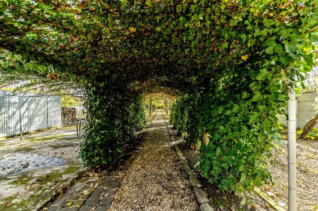 Vilă 5 camere Grădiște | 2 corpuri | 0% comision. Preț negociabil! De vânzare Vilă 5 camere Grădiște | 2 corpuri | 0% comision. Preț negociabil! în zona Gradiste 5 camere 2 dormitoare Arad 5