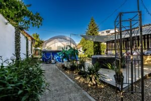 Casă 5 camere – teren 1214 mp – la cheie – Aradul Nou – COMISION 0% De vânzare Casă 5 camere – teren 1214 mp – la cheie – Aradul Nou – COMISION 0% în zona Aradul Nou 5 camere Arad 2