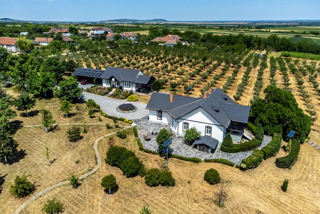 De vânzare REZERVAT Visezi la o proprietate unică, plină de istorie și farmec? în zona Arad 5 camere 2 dormitoare Arad 1