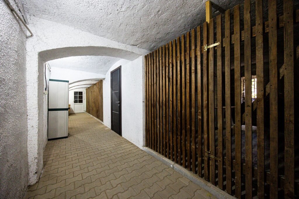 Apartament ultracentral cu 3 camere, 2 băi și curte privată De vânzare Apartament ultracentral cu 3 camere, 2 băi și curte privată în zona Ultracentral 3 camere 2 dormitoare Arad 11