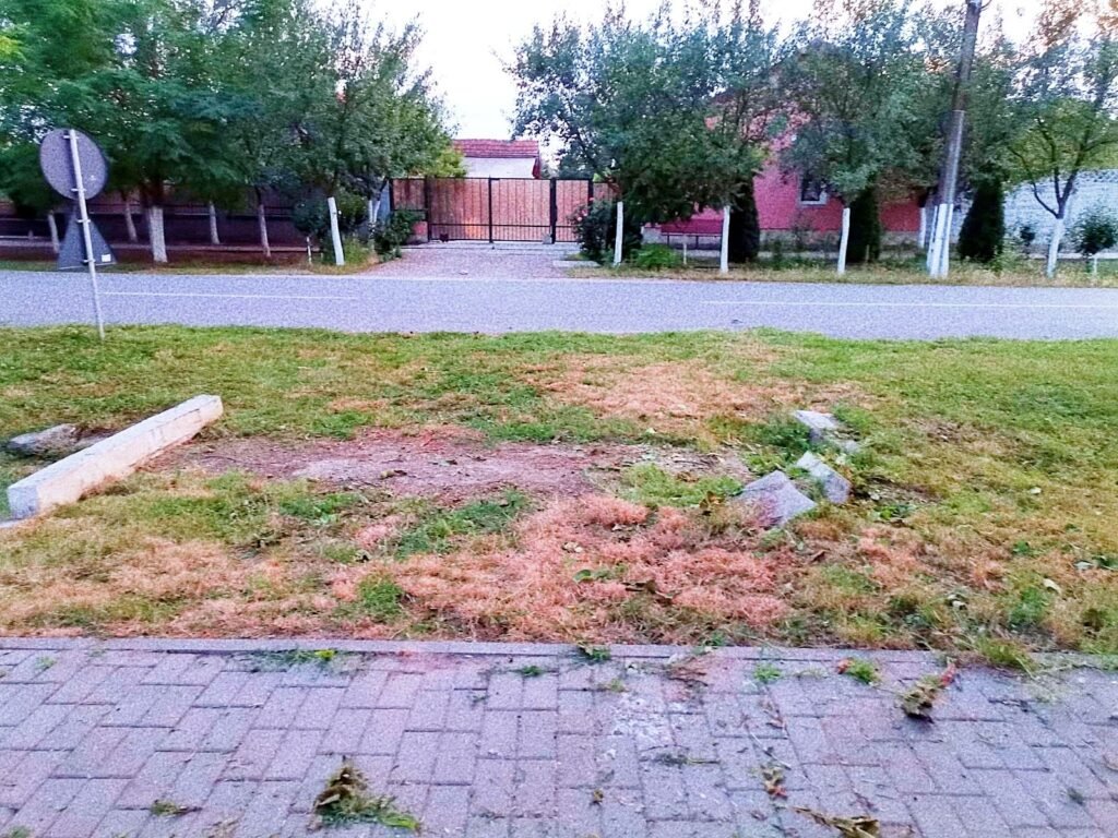 De vânzare Teren de vânzare în Nadăb, 1.438 mp | Utilități complete | Comision 0% în zona Arad Arad 4