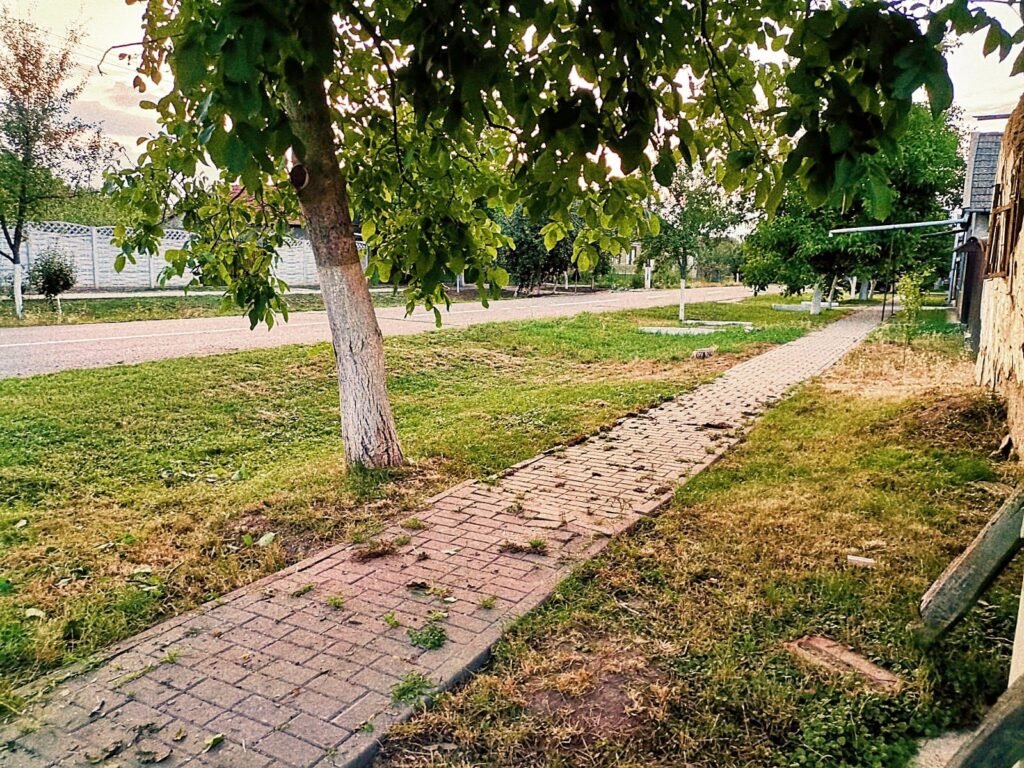 De vânzare Teren de vânzare în Nadăb, 1.438 mp | Utilități complete | Comision 0% în zona Arad Arad 5