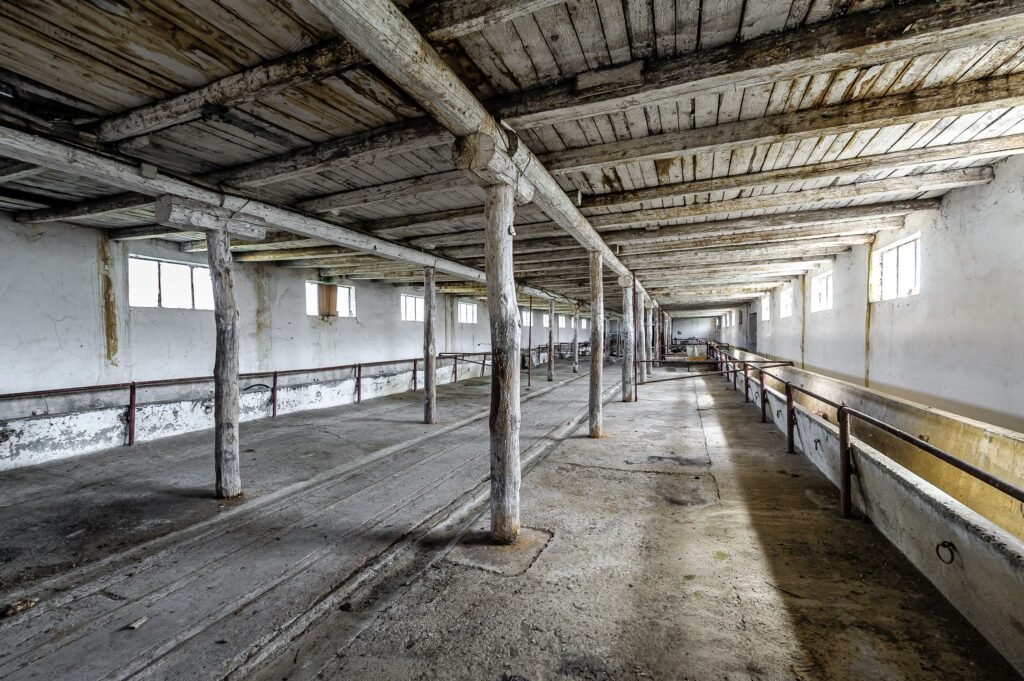 De vânzare Fermă Mândruloc 2,5 ha în zona Arad 6 camere Arad 1