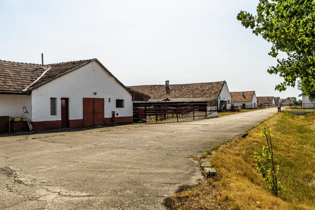 De vânzare Fermă Mândruloc 2,5 ha în zona Arad 6 camere Arad 1