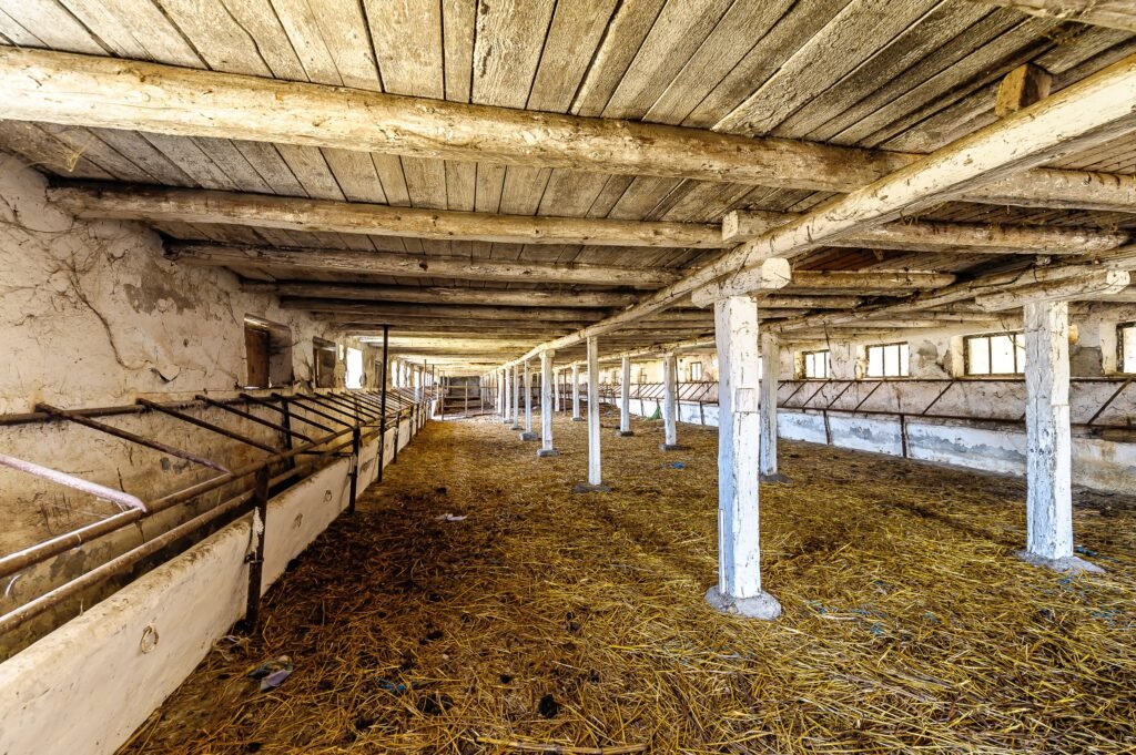 De vânzare Fermă Mândruloc 2,5 ha în zona Arad 6 camere Arad 1