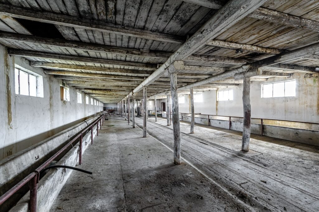 De vânzare Fermă Mândruloc 2,5 ha în zona Arad 6 camere Arad 2