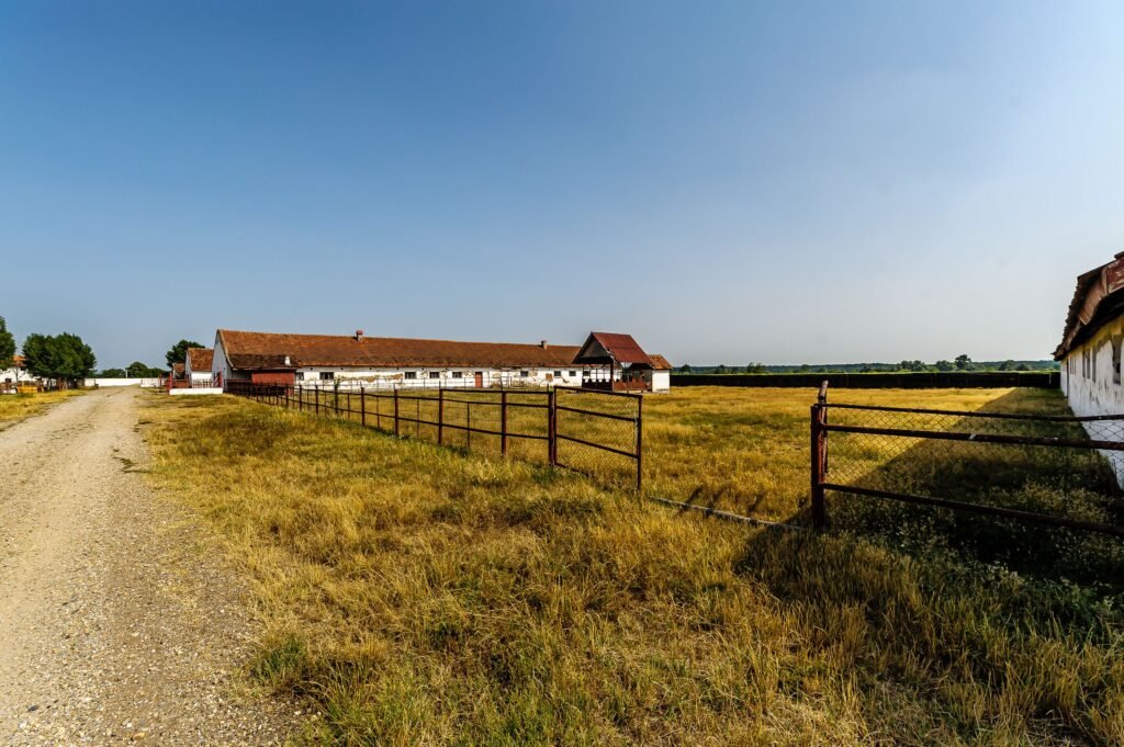 De vânzare Fermă Mândruloc 2,5 ha în zona Arad 6 camere Arad 6