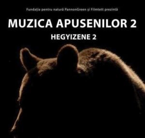 Muzica Apusenilor II Arad