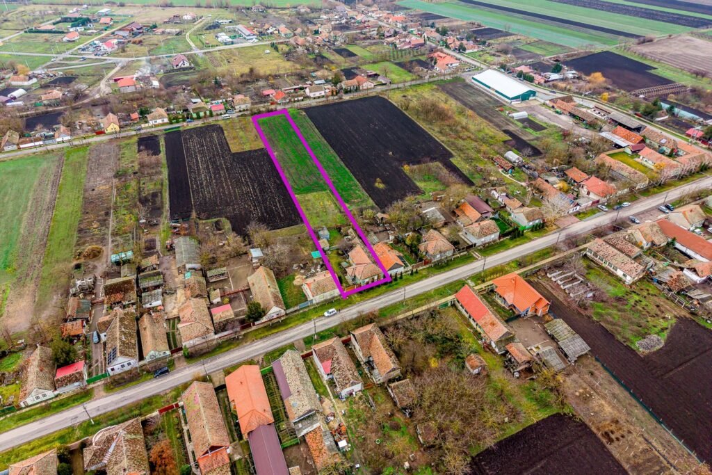 De vânzare Casă în Dorobanți cu livadă + curte 2500 mp în zona Arad 3 camere 1 dormitor Arad 1