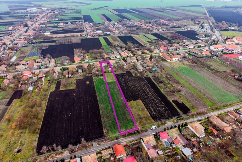 De vânzare Casă în Dorobanți cu livadă + curte 2500 mp în zona Arad 3 camere 1 dormitor Arad 3