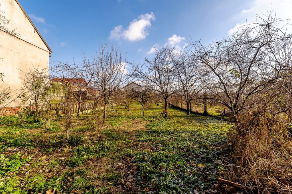 De vânzare Locuință spațioasă cu grădină mare în Aradul Nou, calea Timișorii în zona Aradul Nou 4 camere Arad 1